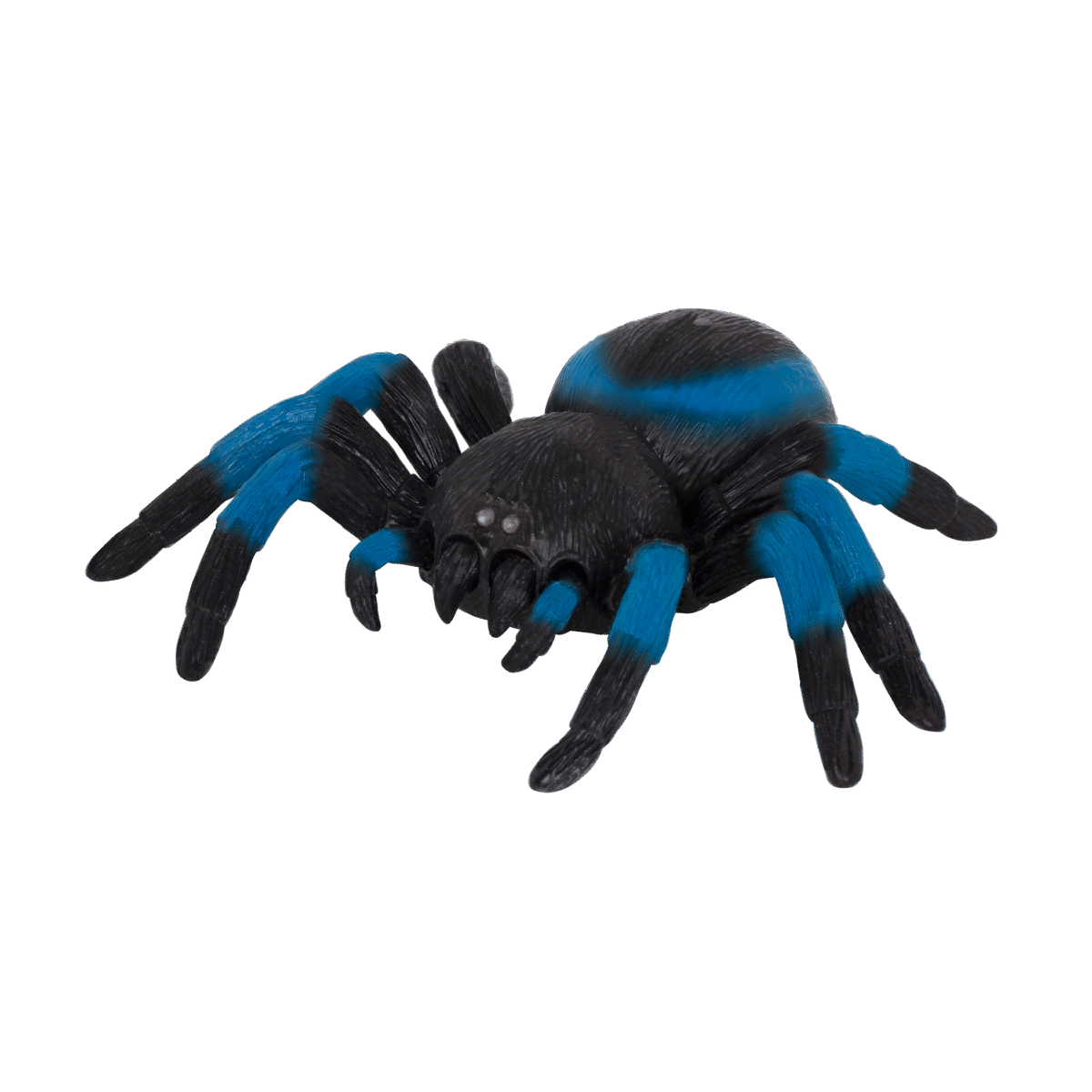 RC SPIDER (BLUE)  Tarantula - Image 2
