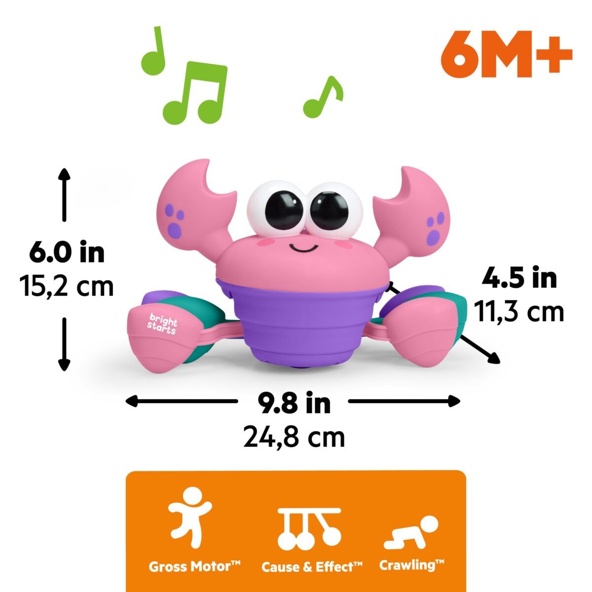 Bright Starts Rockin' Crawling Crab Interactive Baby Toy with Music & Dancing – Pink - Image 7
