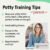 Ingenuity Fold Away Travel Potty Seat - Image 6